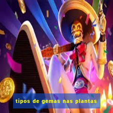 tipos de gemas nas plantas